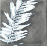 Cir Materia Prima Inserto Natural S/4 Grey 20X20 cm Dekor csempe (1070837) - Image 4