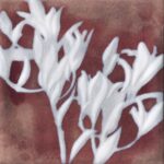 Cir Materia Prima Inserto Natural S/4 Red 20X20 cm Dekor csempe (1070839) - Image 5