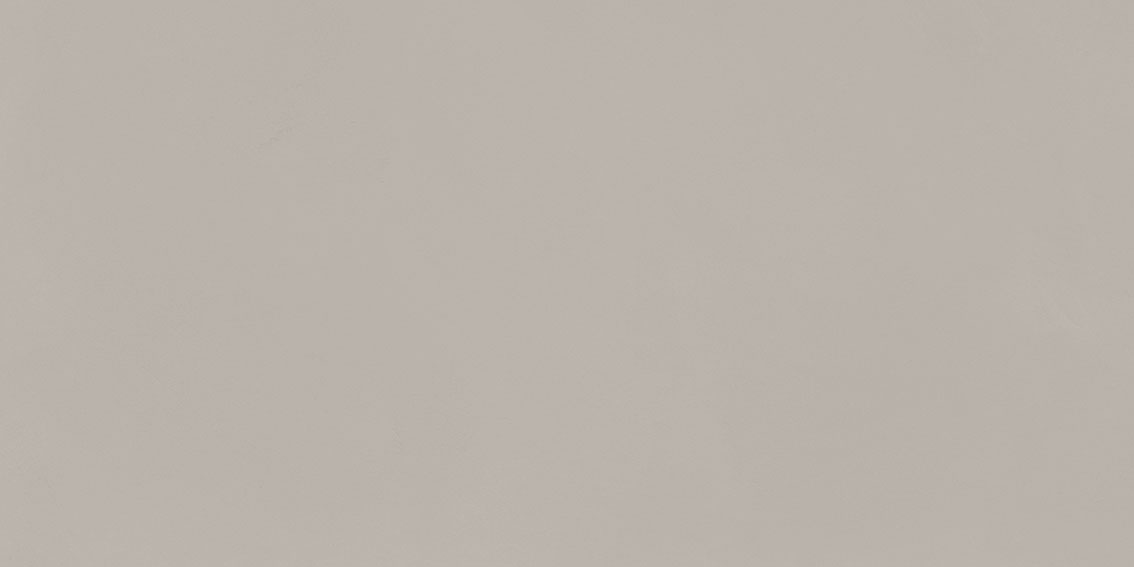 TAUPE_1 MGM C.Art Taupe Ret. 60X120 Csempe - Image 1